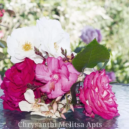 Chrysanthi Melitsa Apts. Nyaraló *