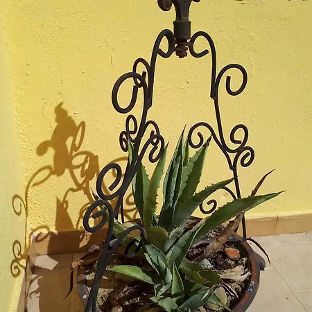 Chrysanthi Melitsa Apts. Nyaraló *